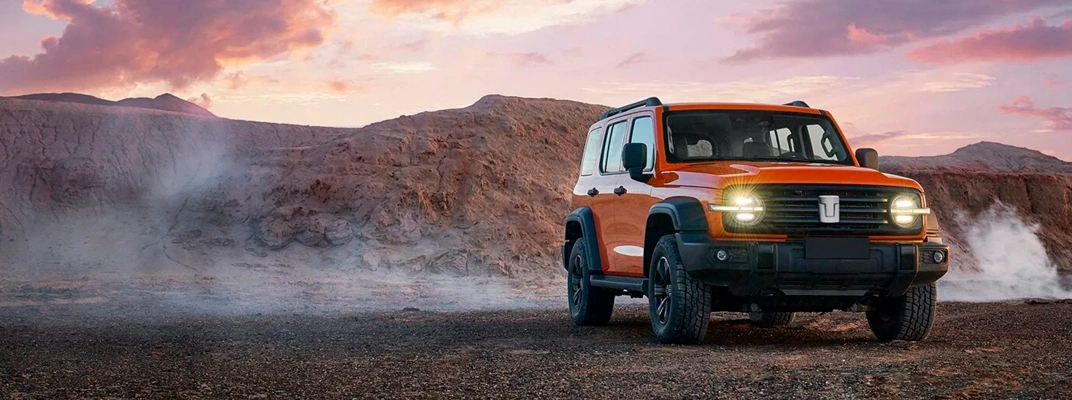 Купить Tank в Тюмени